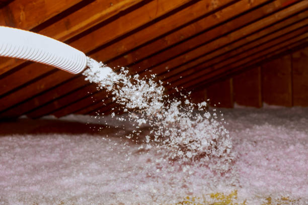 Best Insulation Installation Services in Cleona, PA